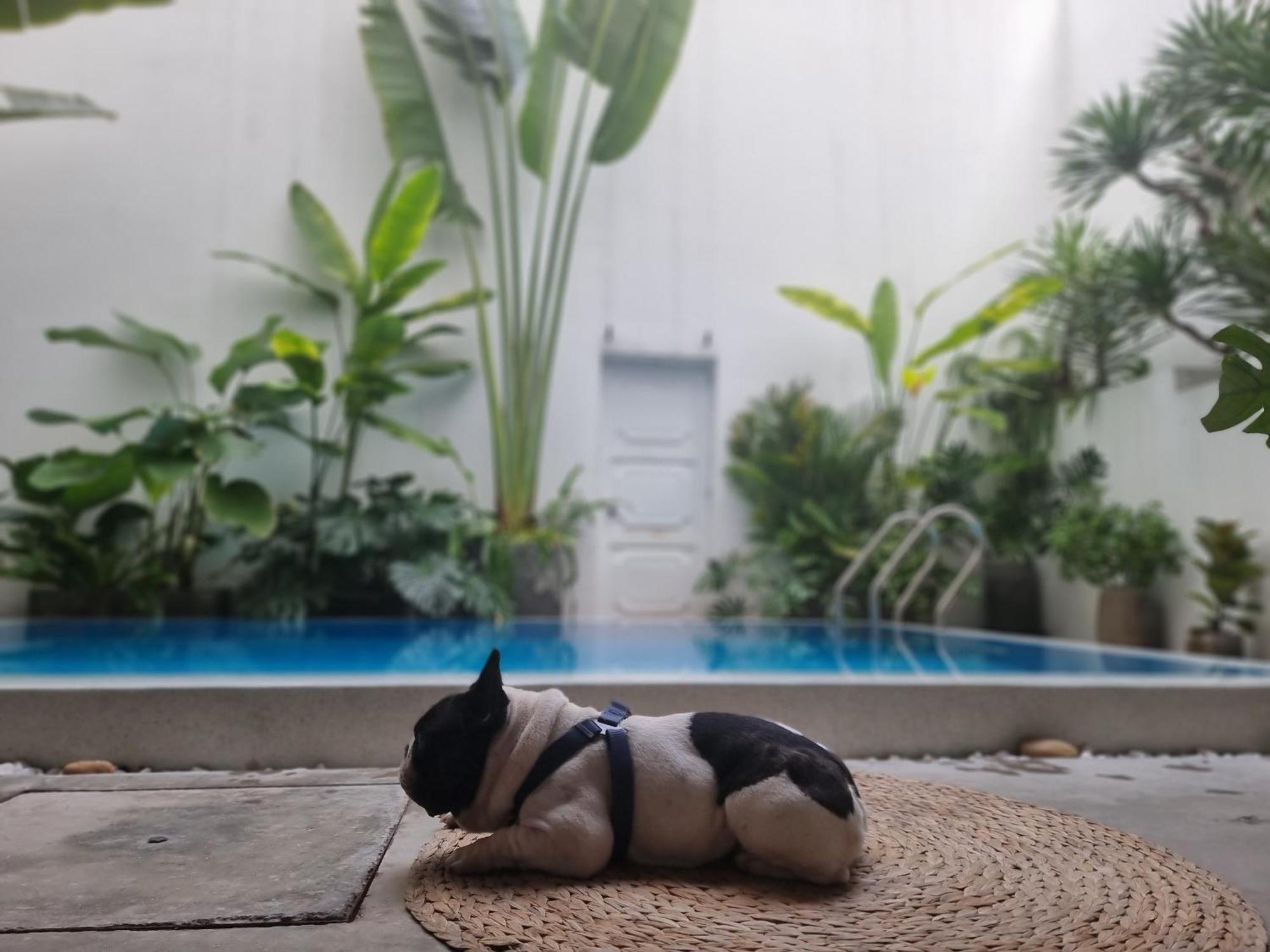 Lada'S House Da Nang Apartment Bagian luar foto
